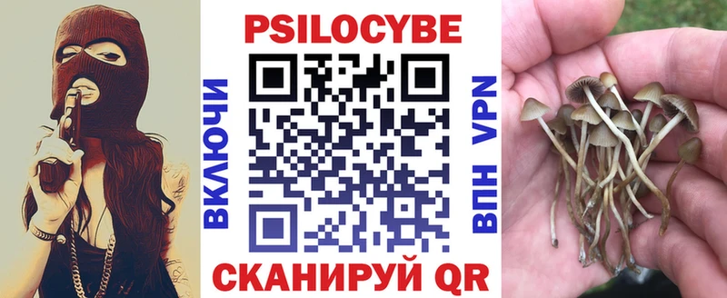 купить наркоту Ивантеевка Галлюциногенные грибы мицелий